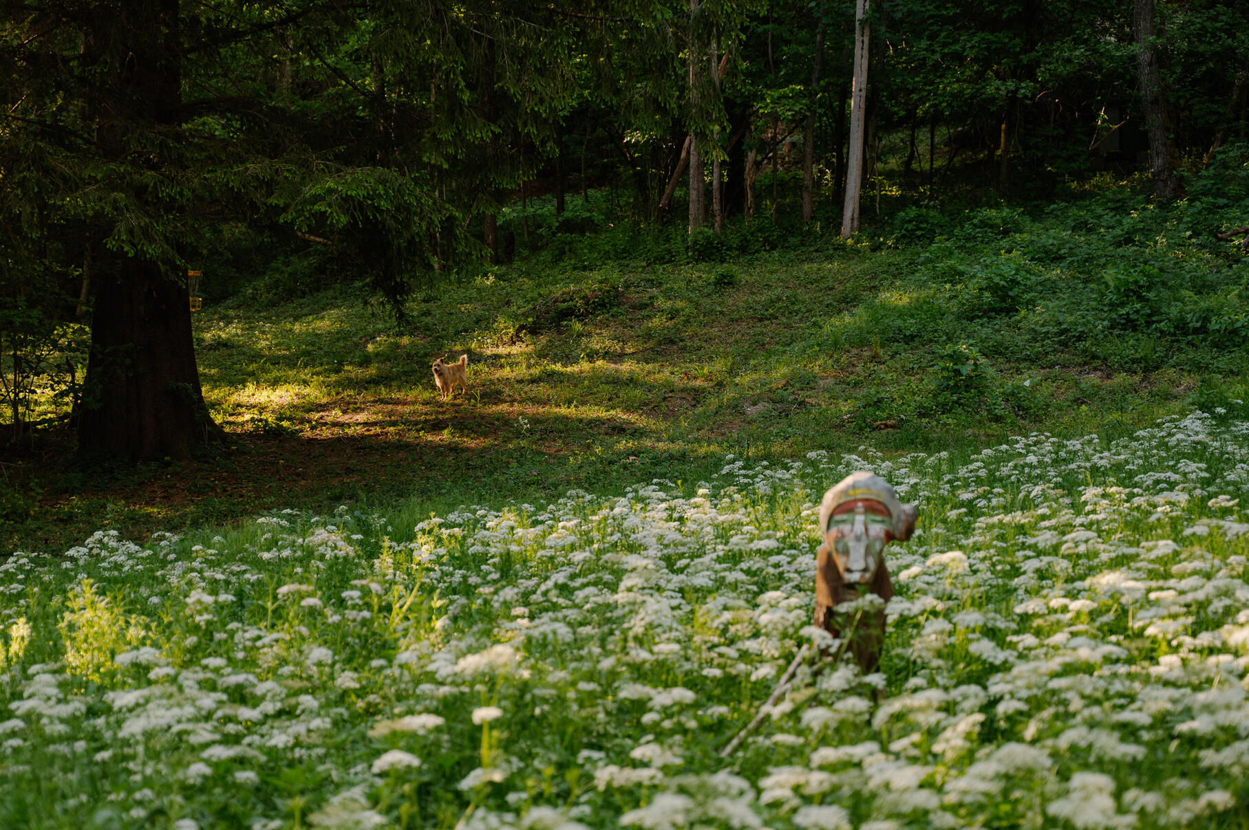 Fotograf: Welin Nagyová Fotograf: Welin Nagyová